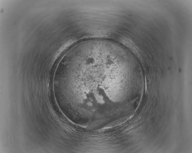 X0000064740483200602171711