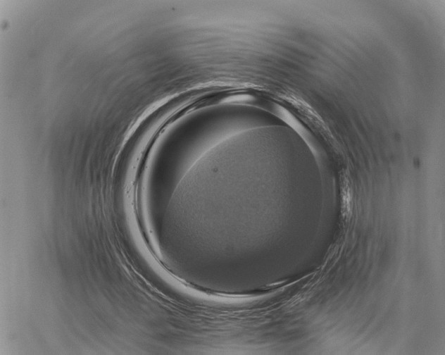 X0000064740484200602171711