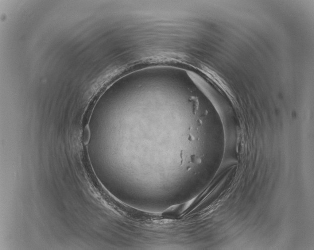 X0000064740485200602171711