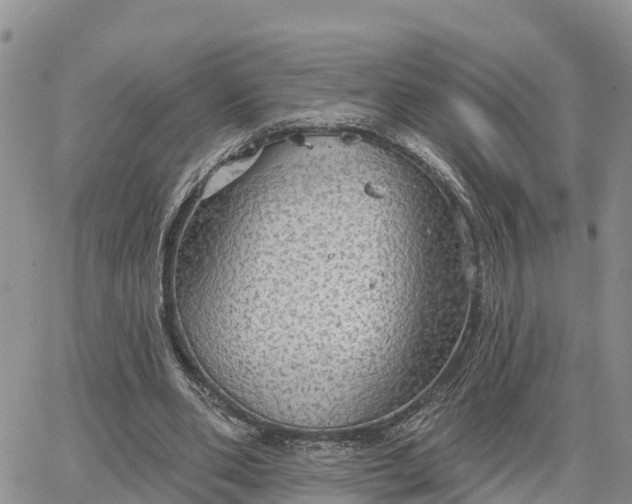 X0000064740486200602171711