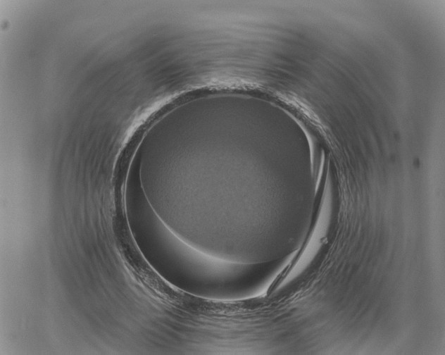 X0000064740488200602171711