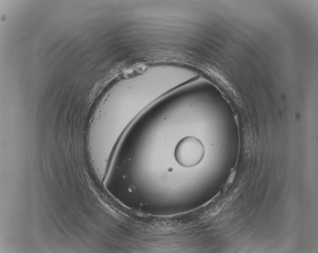 X0000064740489200602171711