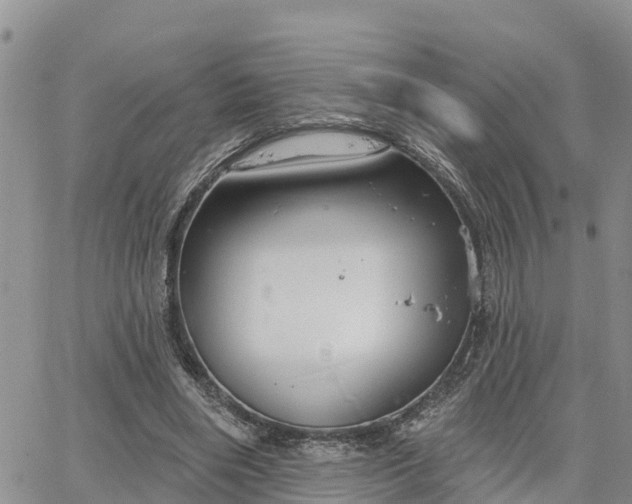 X0000064740490200602171711