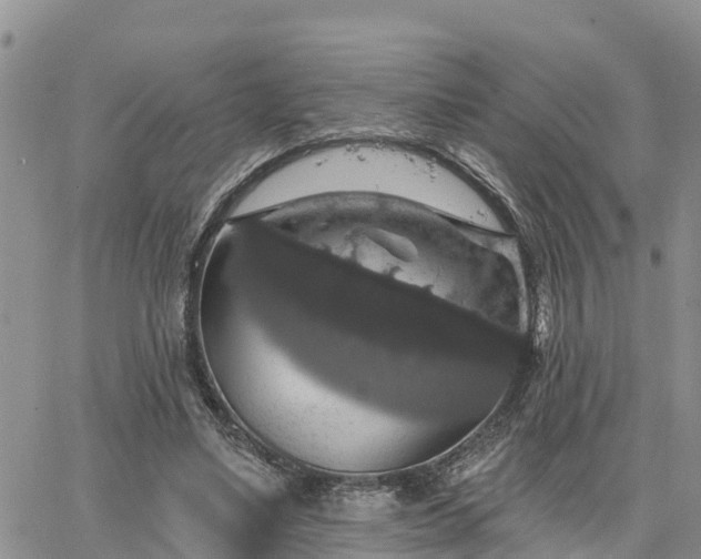 X0000064740491200602171711