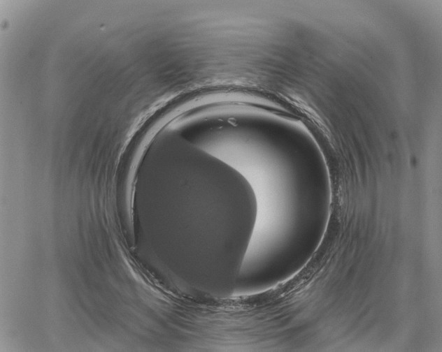 X0000064740492200602171711