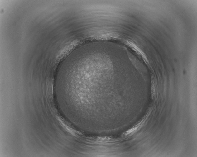 X0000064740493200602171711