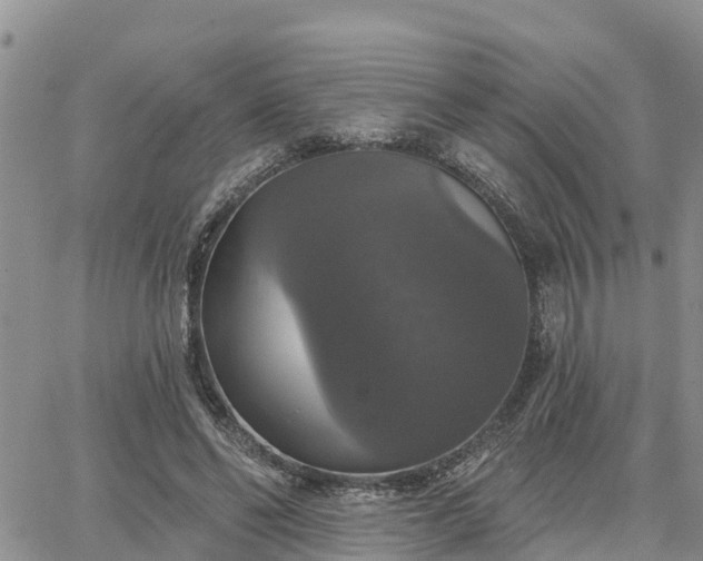 X0000064740494200602171711