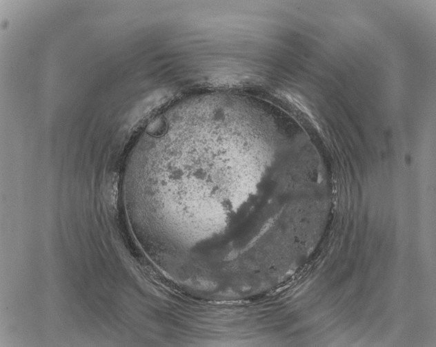 X0000064740495200602171711