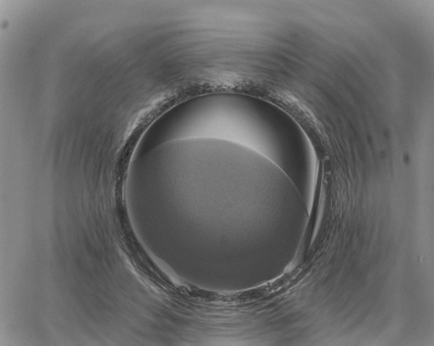 X0000064740496200602171711