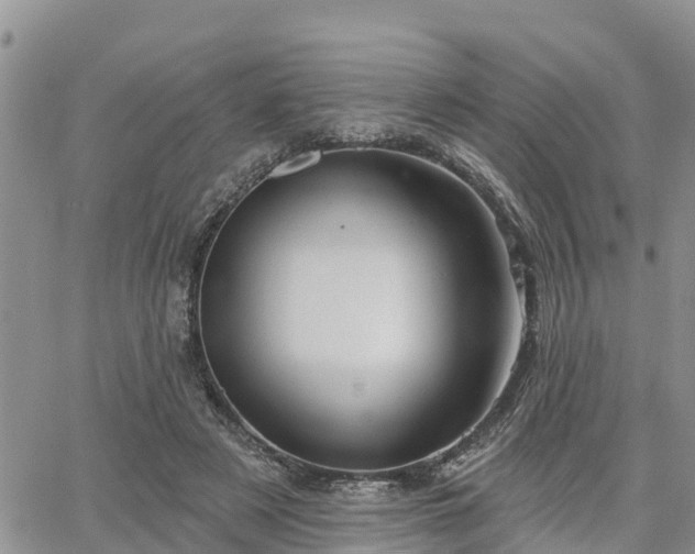 X0000064740497200602171711