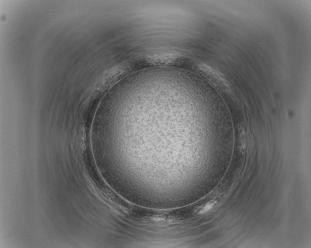 X0000064740498200602171711