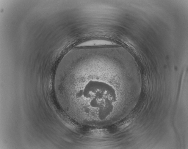 X0000064740499200602171711