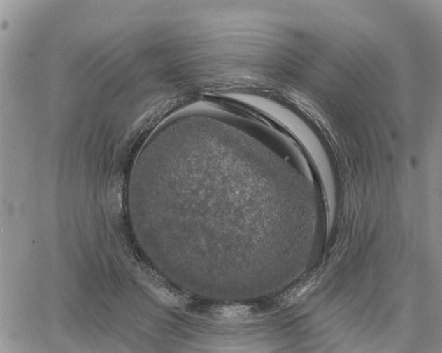 X0000064740501200602171711