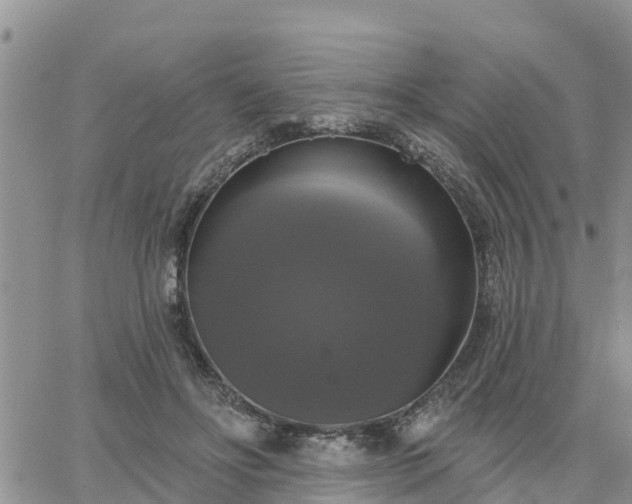 X0000064740502200602171711