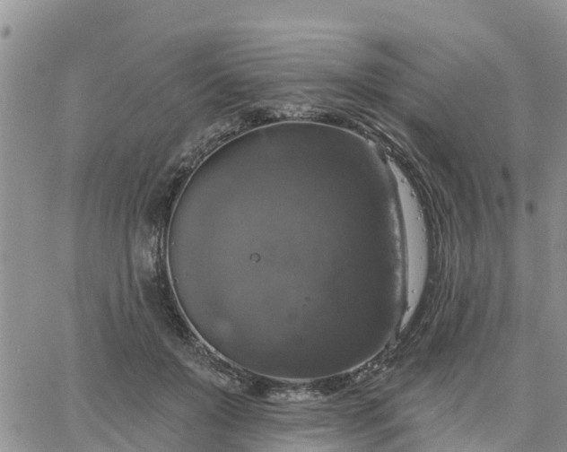 X0000064740503200602171711