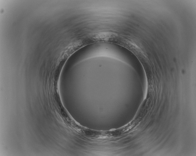 X0000064740504200602171711