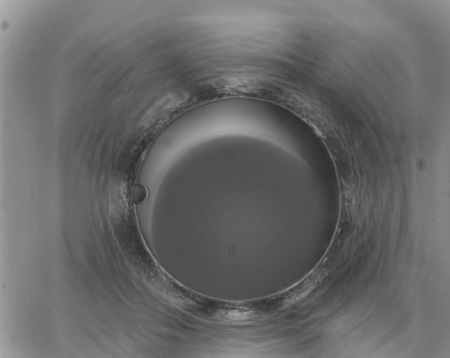 X0000064740506200602171711