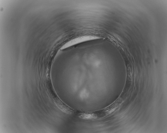 X0000064740507200602171711