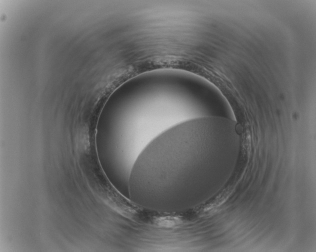 X0000064740508200602171711