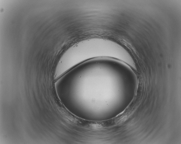 X0000064740509200602171711