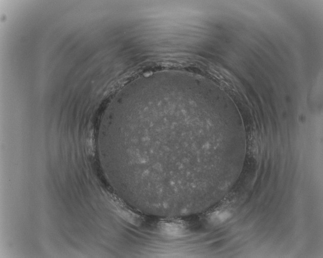 X0000064740510200602171711