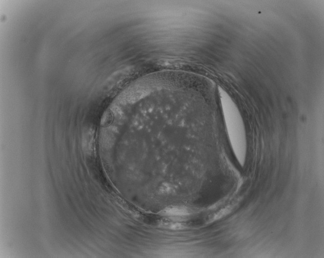 X0000064740511200602171711