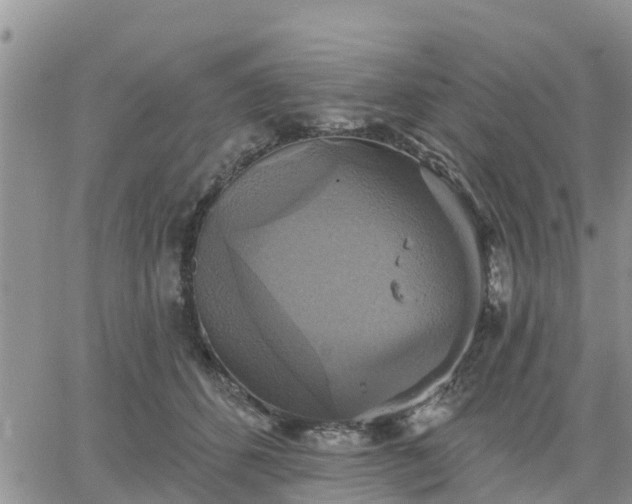 X0000064740512200602171711