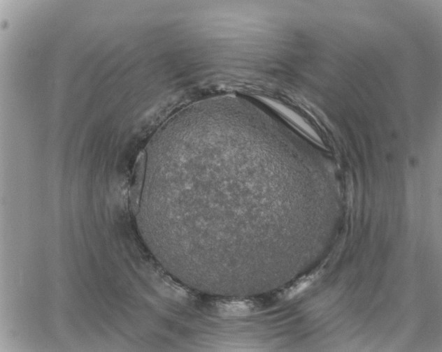 X0000064740513200602171711