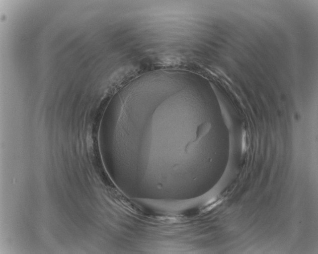 X0000064740516200602171711