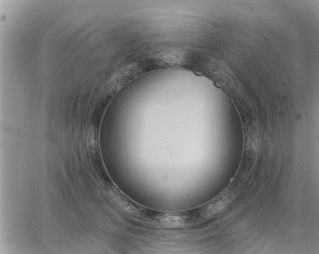 X0000064740518200602171711