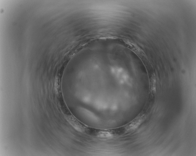 X0000064740519200602171710