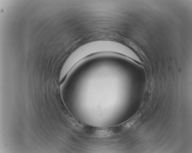 X0000064740521200602171710