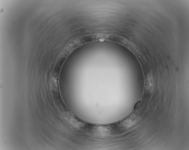 X0000064740522200602171710