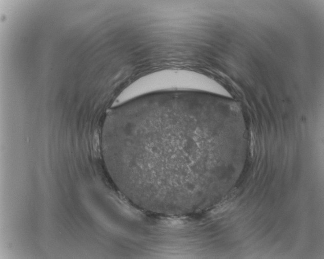 X0000064740523200602171710