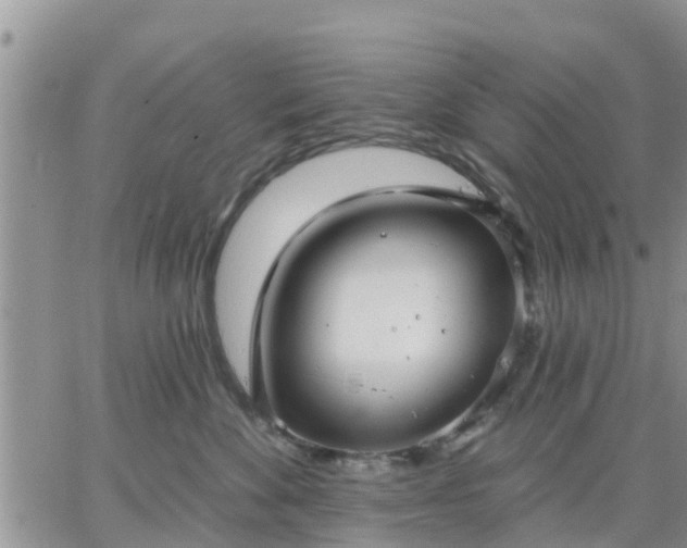 X0000064740524200602171710