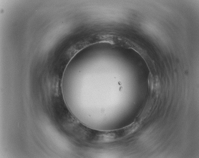 X0000064740525200602171710