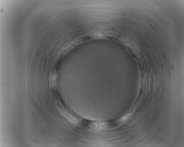 X0000064740526200602171710