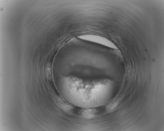 X0000064740527200602171710