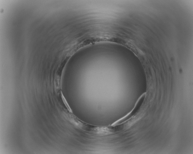 X0000064740528200602171710