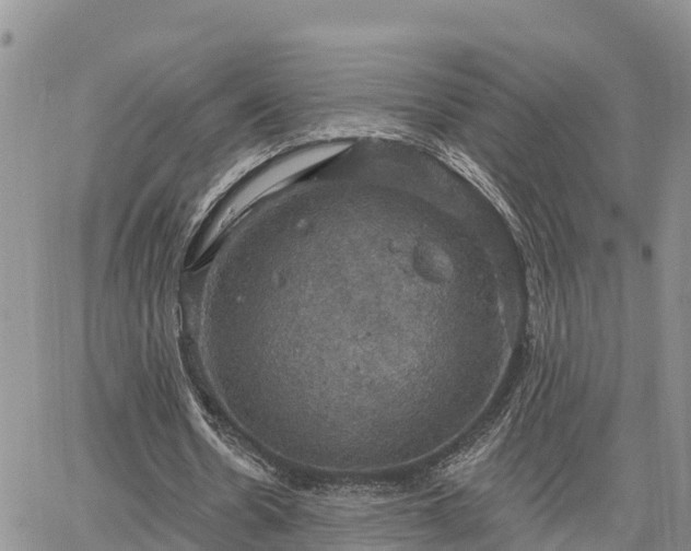 X0000064740530200602171710