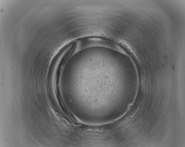 X0000064740532200602171710