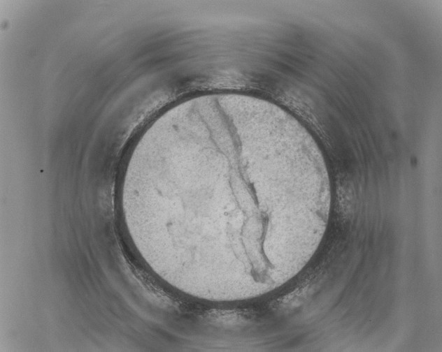 X0000064740534200602171710