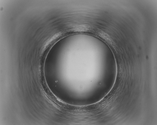 X0000064740535200602171710