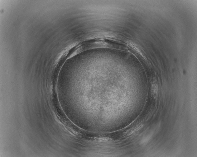 X0000064740539200602171710