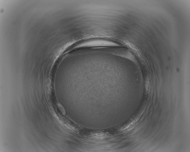 X0000064740540200602171710