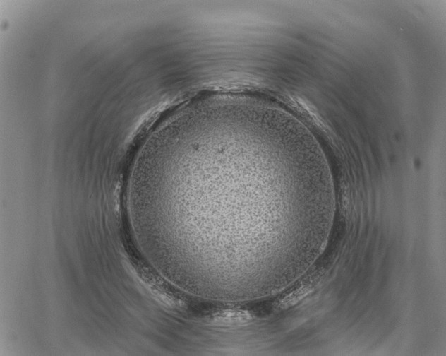 X0000064740543200602171710