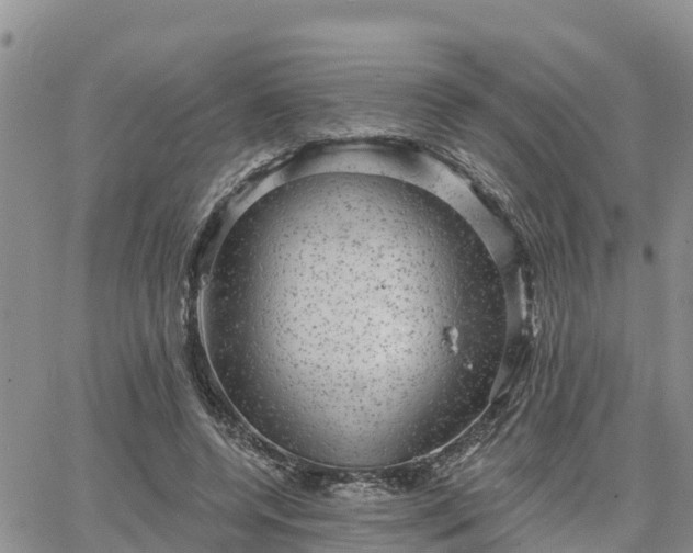 X0000064740544200602171710