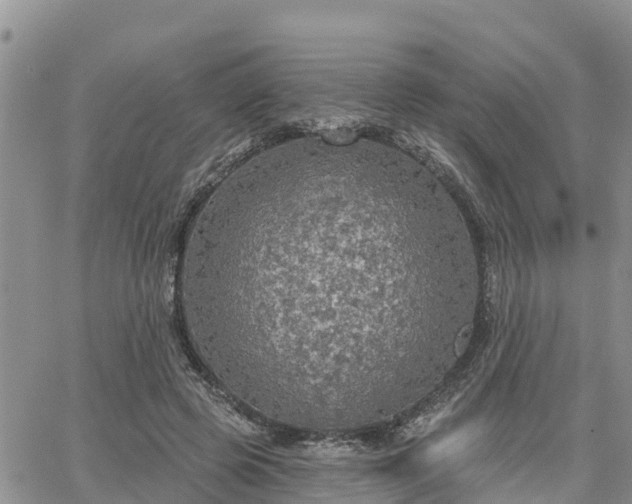 X0000064740545200602171710