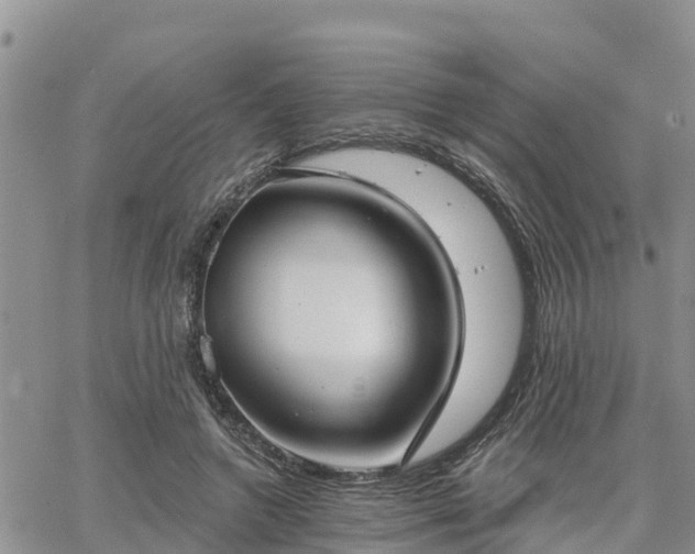 X0000064740546200602171710