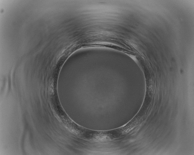 X0000064740547200602171710